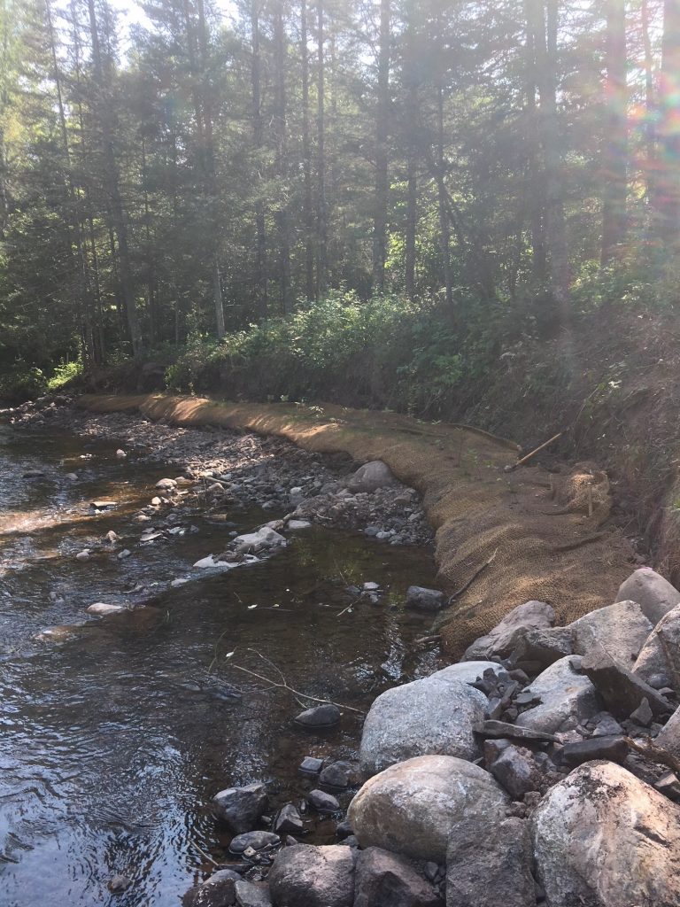 Stream bank restoration