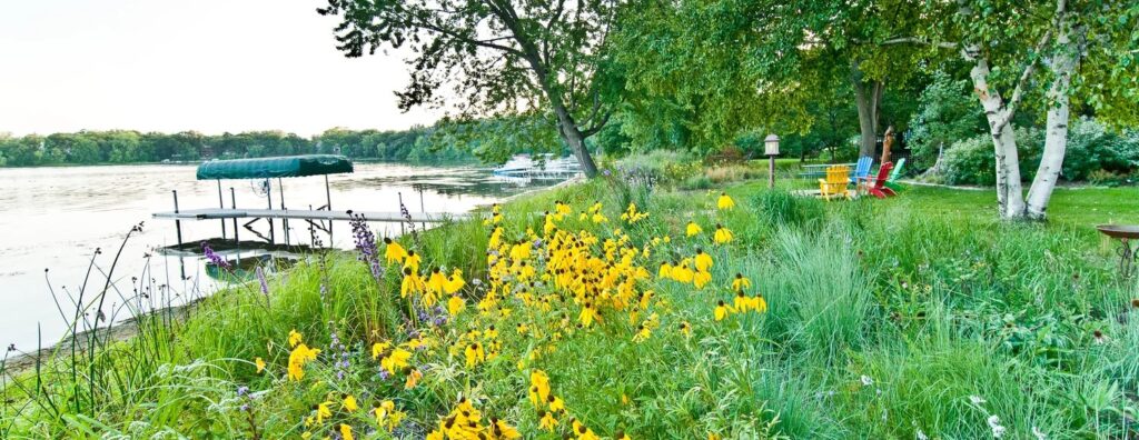 Photo of a lake shoreline with native flowers and plants