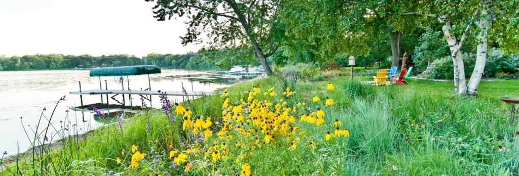 Photo of a lake shoreline with a dock and native flowers