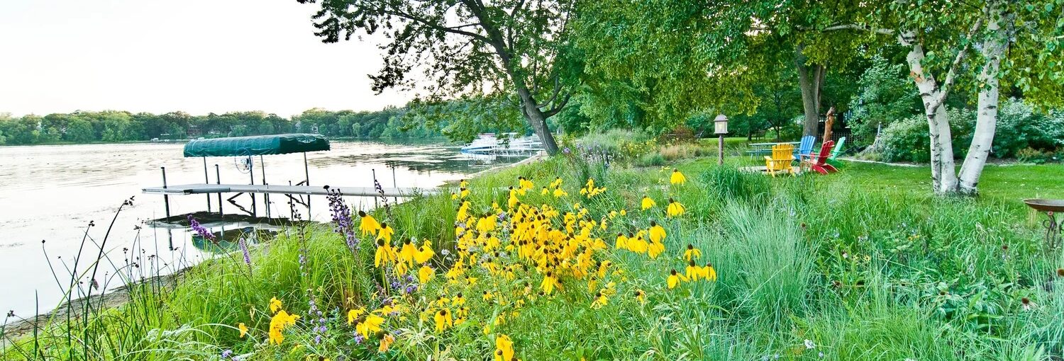 Photo of a lake shoreline with a dock and native flowers